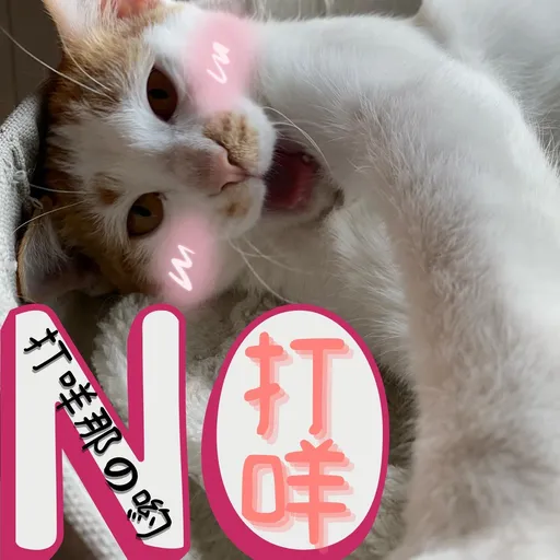 港短閪貓團（表情篇） - Sticker 6