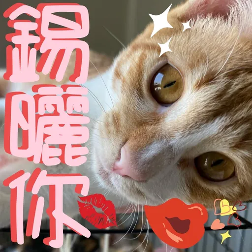 港短閪貓團（表情篇） - Sticker 2