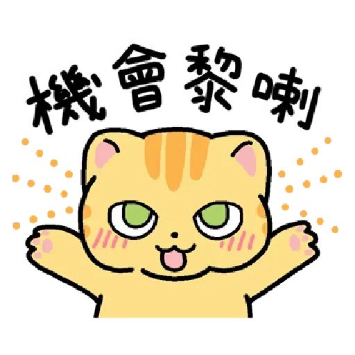 柑桔貓 香港潮語 - Sticker 2