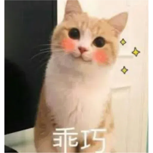 Cat2 - Sticker 6